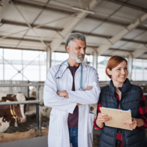 accompagnement e conseil vétérinaire